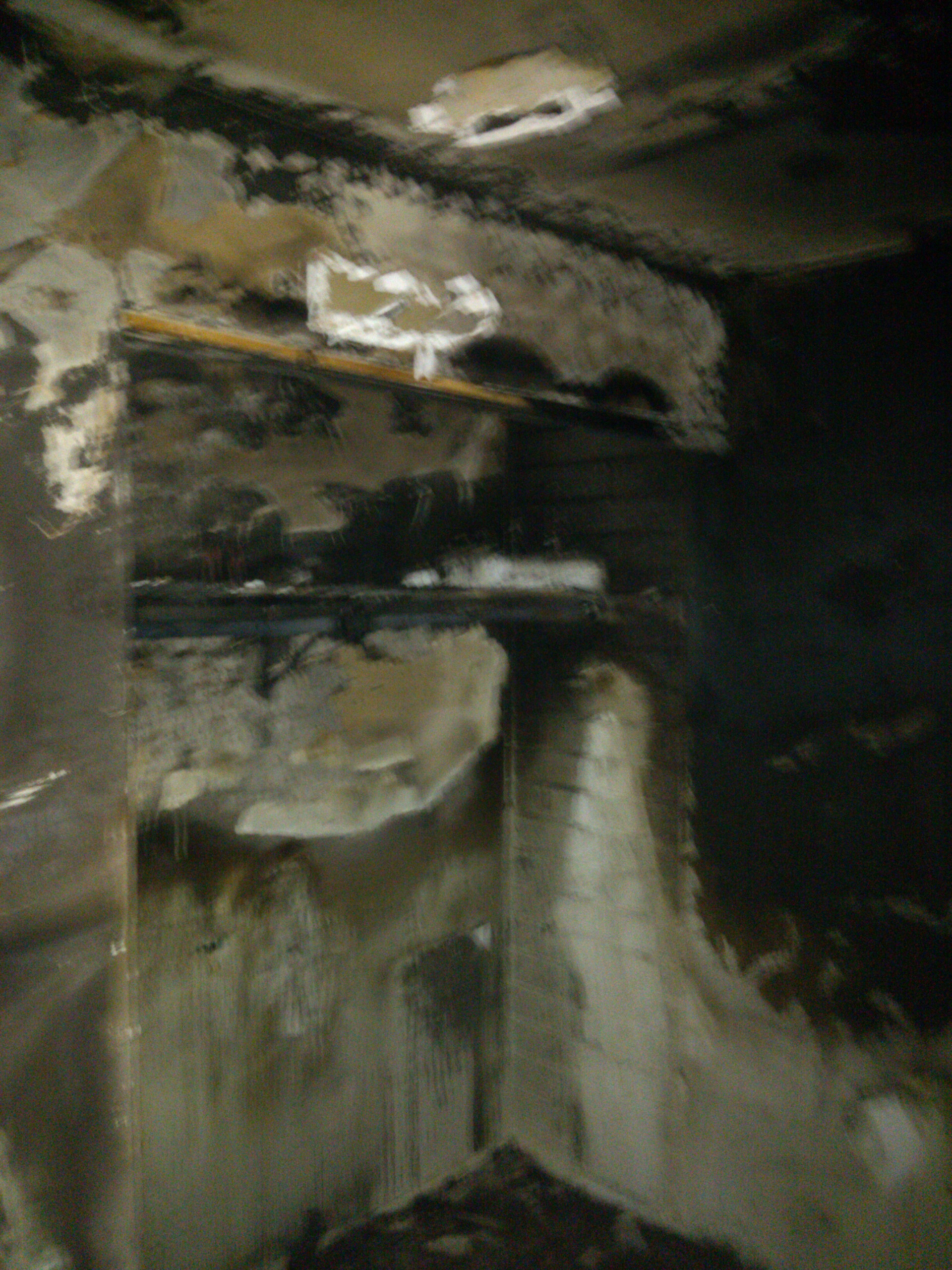 Severe mold growth before remediation