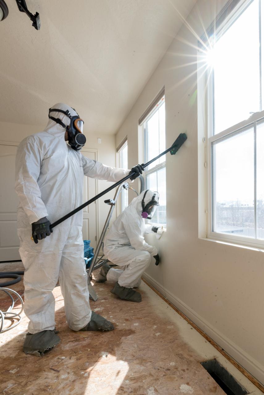 Two Five Point Restoration technicians in full white hazmat suits treating a room with dramatic sunlight through the window